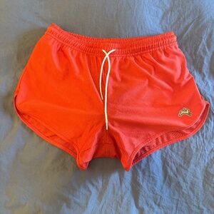 Tracksmith Men’s Medium Van Cortlandt Shorts